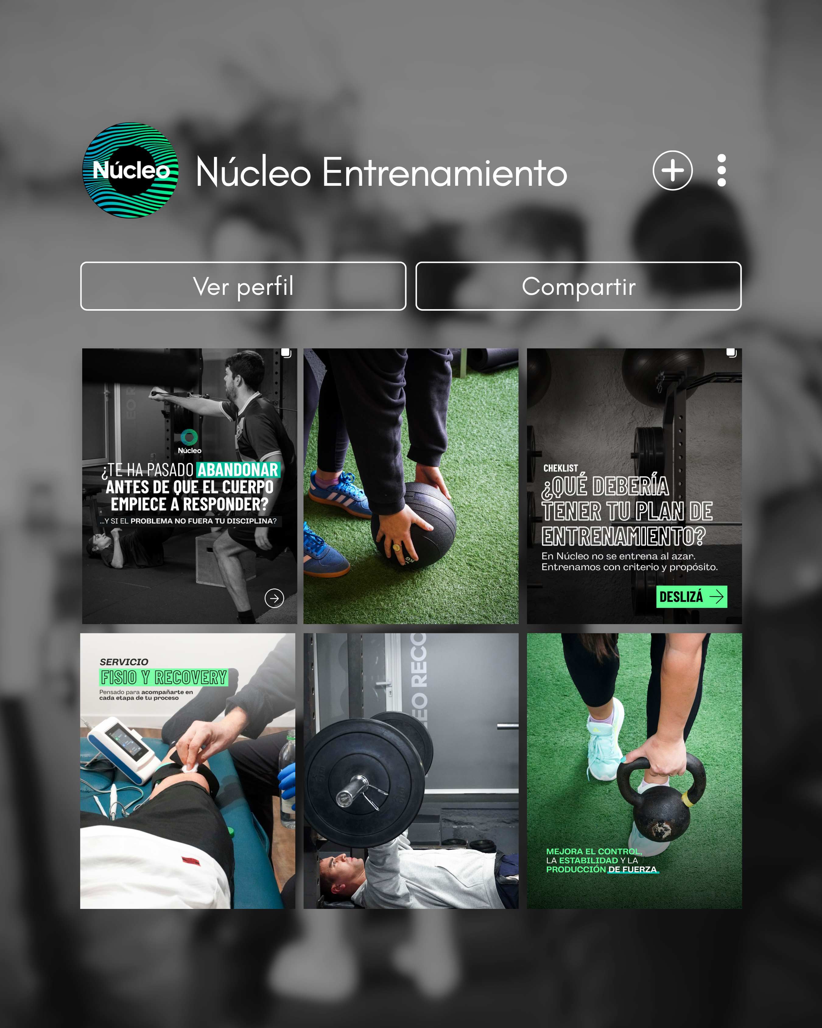 Núcleo Entrenamiento — Community Management