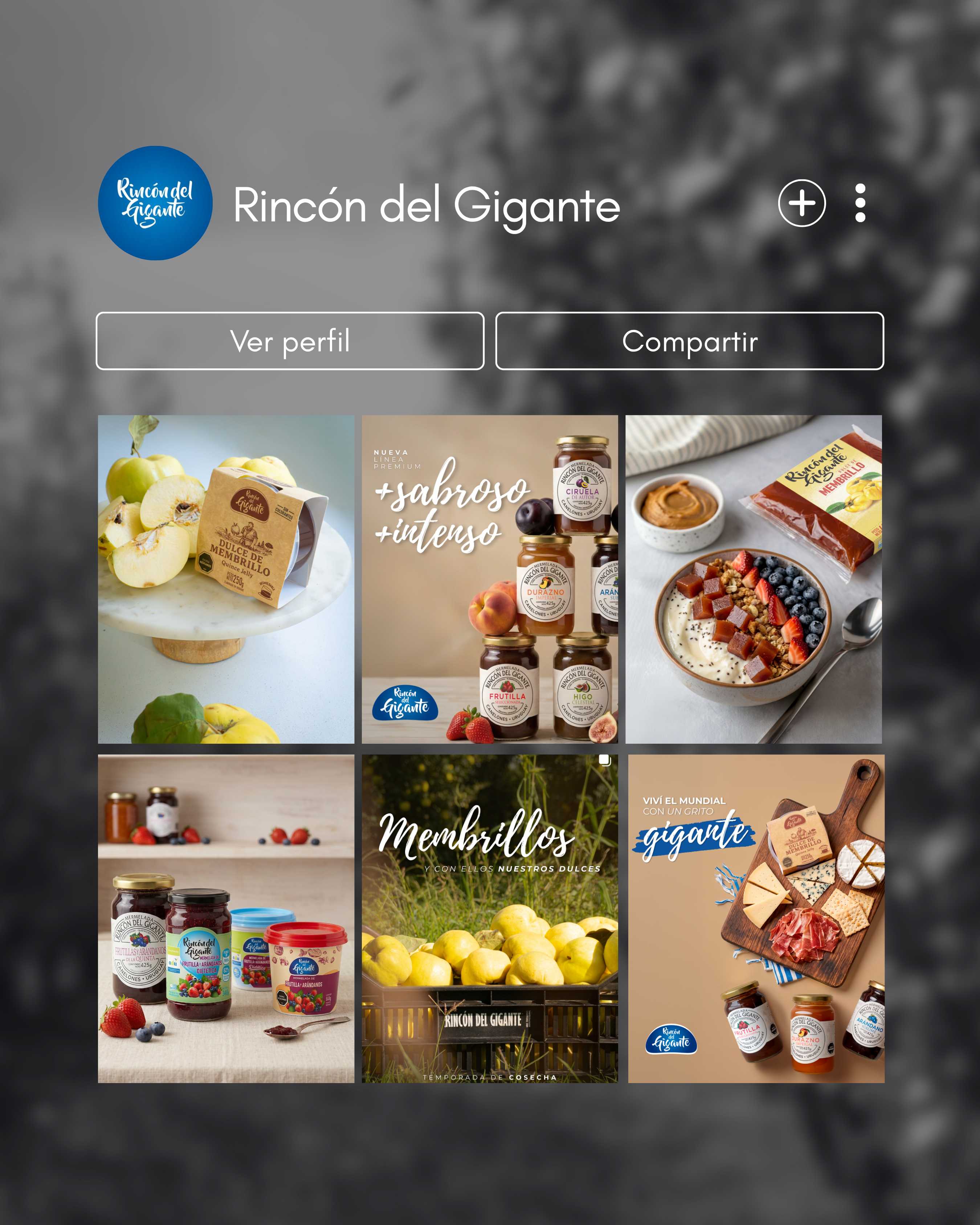 Rincón del Gigante — Community Management